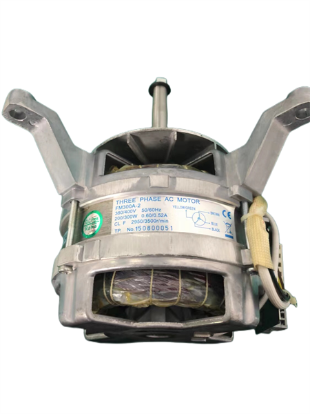 Rehm Three Phase AC Motor FM300A-2 FM300E-2